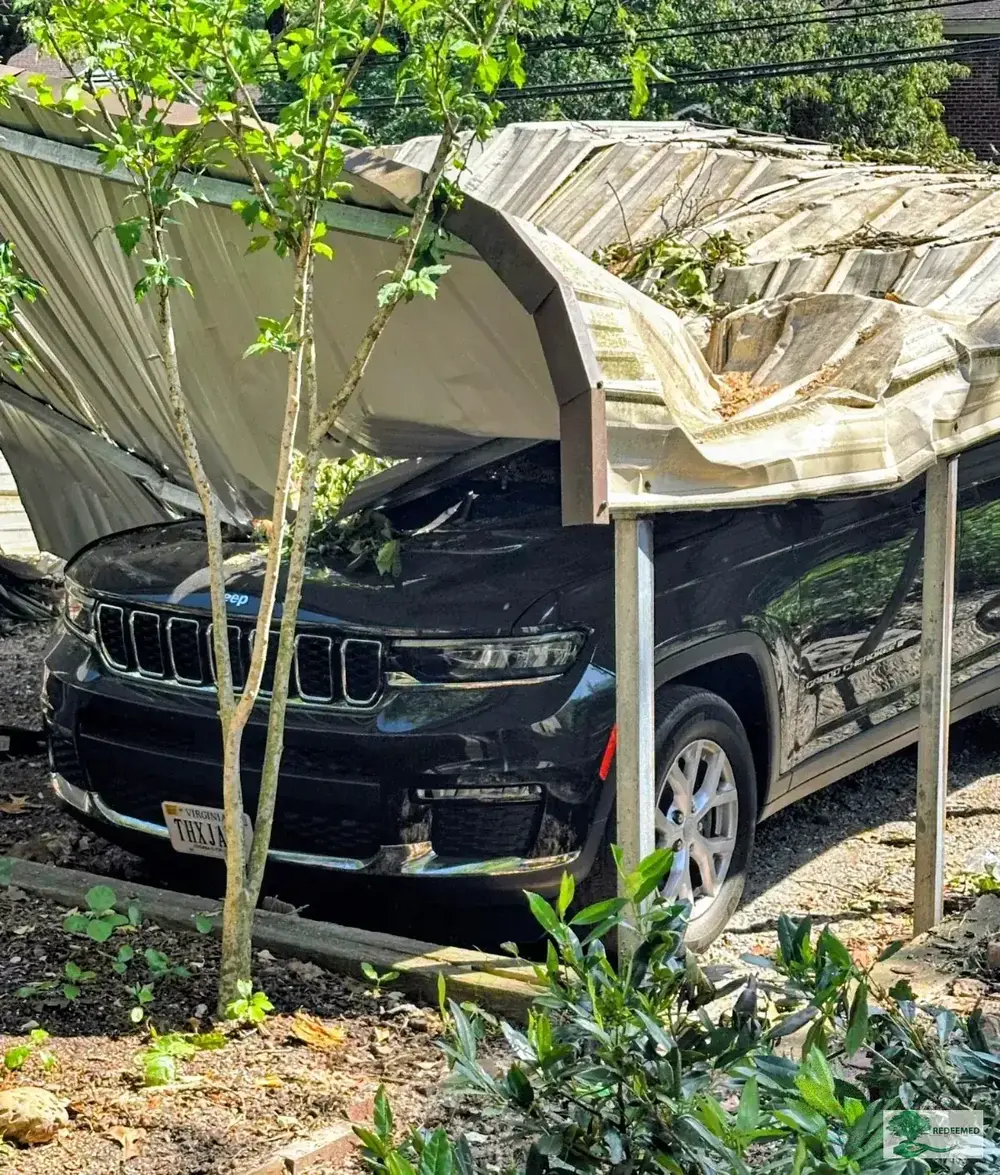 Branch Clearing Storm Damage